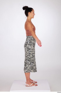 Suleika a-pose animal print maxi skirt camel v-neck knit crop…